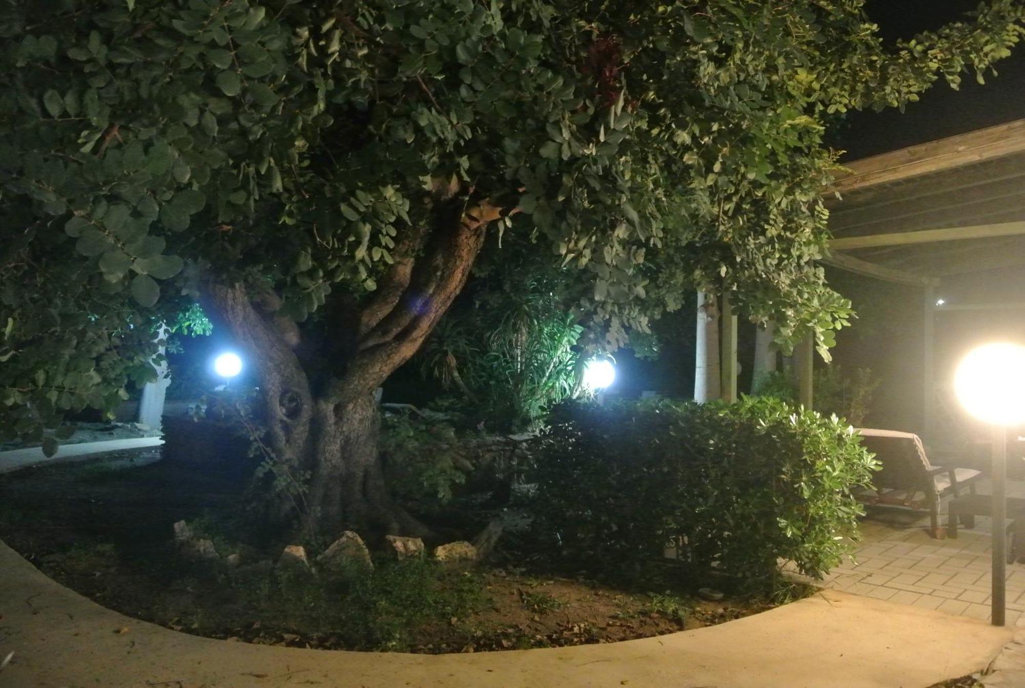 Villa Carlotta Resort San Leone Ngoại thất bức ảnh